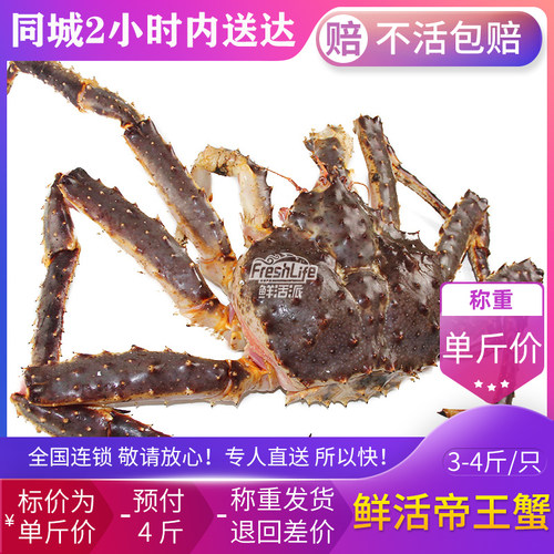 南宁店 鲜活帝王蟹3-4斤/只预付4斤拍照称重结算长脚蟹皇帝蟹包活 - 封面
