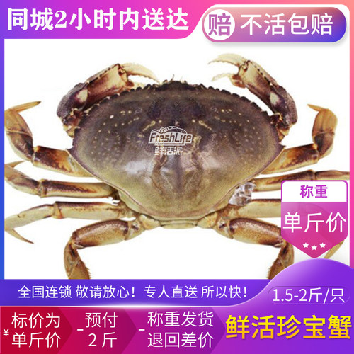 贵阳店 鲜活美国进口珍宝蟹约2斤/只拍2斤称重海蟹大螃蟹蟹肉饱满