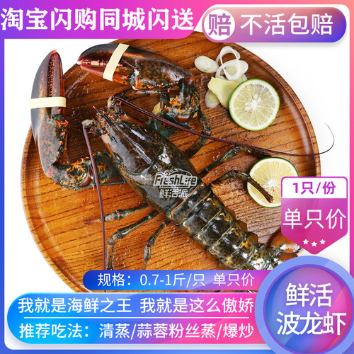 成都店同城闪送 鲜活波龙虾1只/份约0.9-1斤可选 波士顿龙虾包活 - 封面