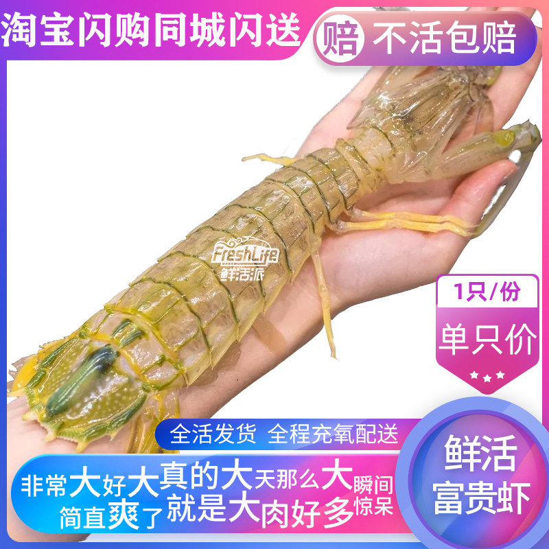 成都店同城闪送 鲜活泰国富贵虾1只/份约2-3.5两可选 大皮皮虾王