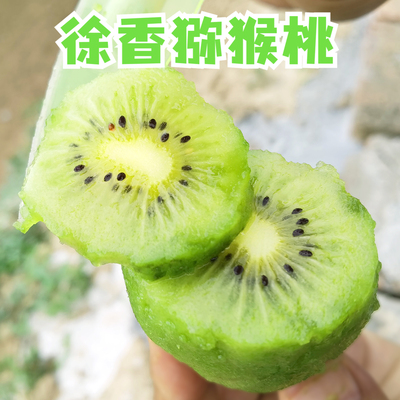 陕西正宗徐香猕猴桃绿心奇异果眉县周至香甜多汁新鲜水果