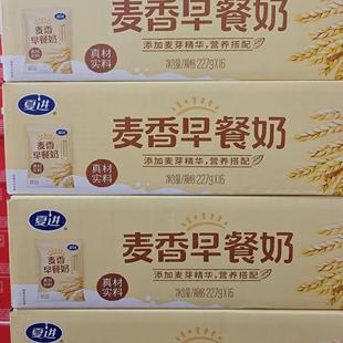 新日期夏进麦香纯香经典学生早餐奶 清真袋装包邮227g*8/16袋整箱