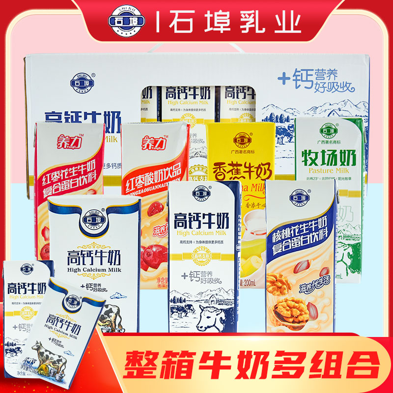 广西石埠牛奶高钙牛奶学生营养