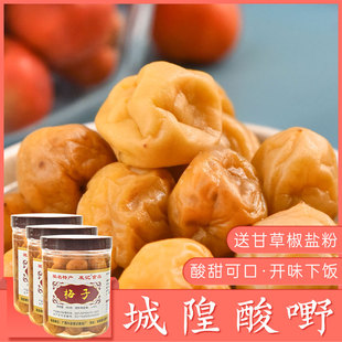 玉林城隍酸料酸嘢 发记 梅子480g*3瓶 广西特产酸野腌酸梅咸水梅
