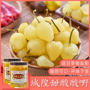 广西特产七彩灯笼泡椒 发记 醋泡五彩椒480g*2瓶玉林城隍酸料泡椒