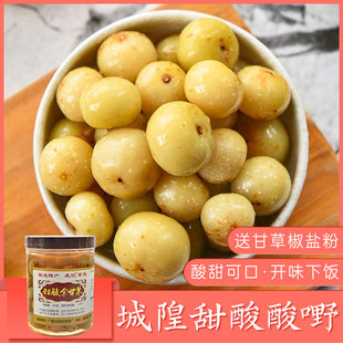 广西酸野腌泡油甘果油干果 发记 甜酸余甘果480g玉林城隍酸料酸嘢