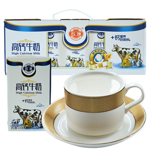 广西石埠高钙牛奶 高钙奶整箱 甜牛奶儿童成人营养奶学生早餐牛奶