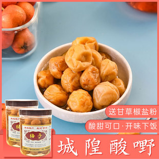 广西特产酸嘢腌酸梅 发记 梅子480g*2瓶 酸野咸酸梅玉林城隍酸料