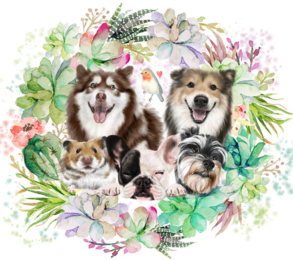 新品宠物头像来图订制猫猫狗狗画像手绘电子版稿纹身图案花卉背景