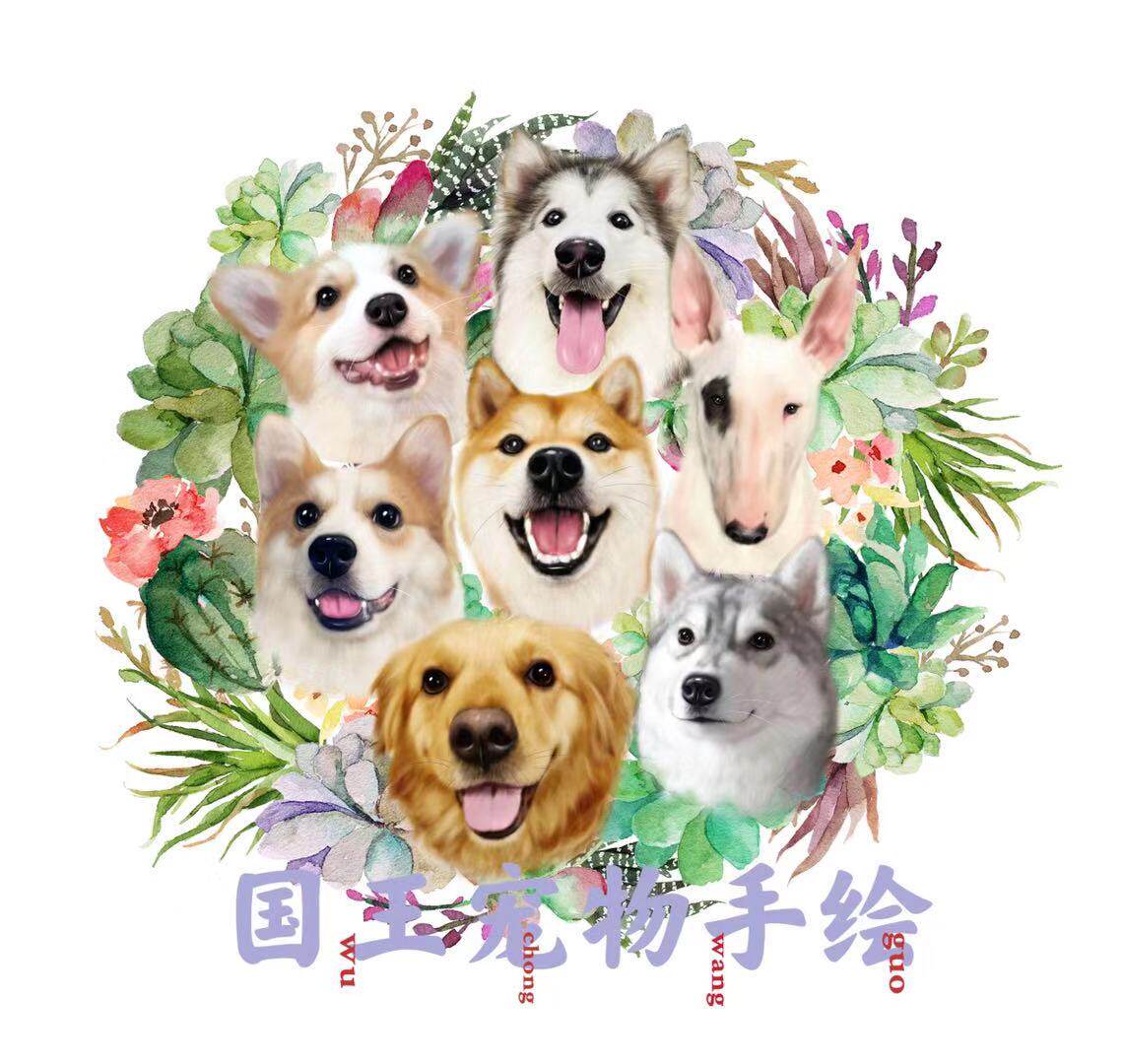 宠物头像来图订制猫猫狗狗兔子龙猫异宠画像手绘电子版稿纹身图