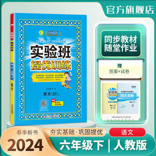 教材同步巩固提优练习册思维拓展附答案详解 春雨教育旗舰店6年级语文下册RJ版 小学实验班提优训练六年级语文下册人教版 2024年春