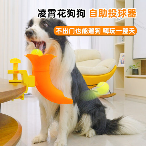 宠物玩具狗狗自助投球抛球器狗狗球类玩具在家遛狗解闷耗精力神器