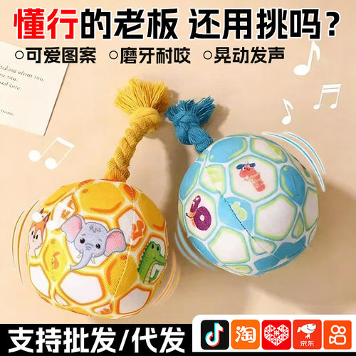 笃行宠物宠物智能玩具爆款独角