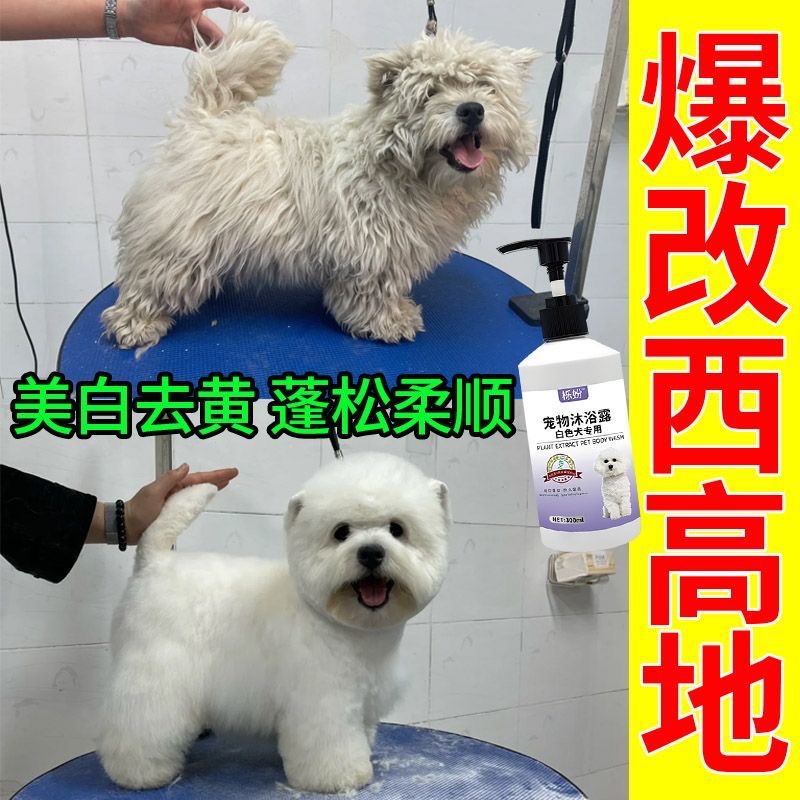 西高地梗犬白毛专用沐浴露狗狗去黄净白蓬松毛发祛味香波沐浴液