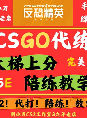 CSGOCS2代练陪练完美5E天梯上分代CS2教学培训上分辅导CS2定级