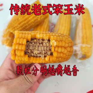 10根山东老式笨玉米老品种有嚼劲黄玉米新鲜真空即食代餐粗粮绿色