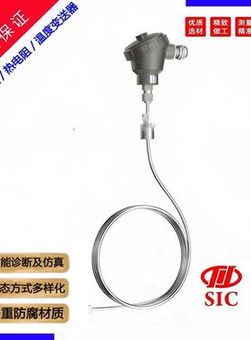 重庆川仪热电阻热电偶重庆十七厂WZGPK-132-P2AF150G-S5000