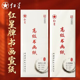 红星高级书画纸半生熟宣纸国画作品纸毛笔书法练习纸全熟花鸟人物山水专用临摹纸练字加厚工笔画美术国展投稿