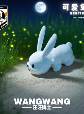 2025新款3D打印可爱兔子关节可动创意玩具儿童生日纪念礼摆件模型
