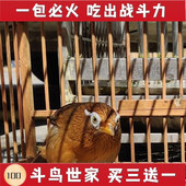 斗鸟世家促火壮膘手工画眉鸟食饲料提性打口营养料黄嘴黄脚料 包邮