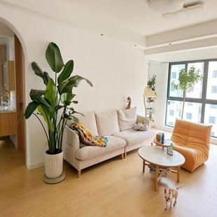 天堂鸟盆栽大型室内客厅植物好养鹤望兰办公室绿植新房去甲醛真花