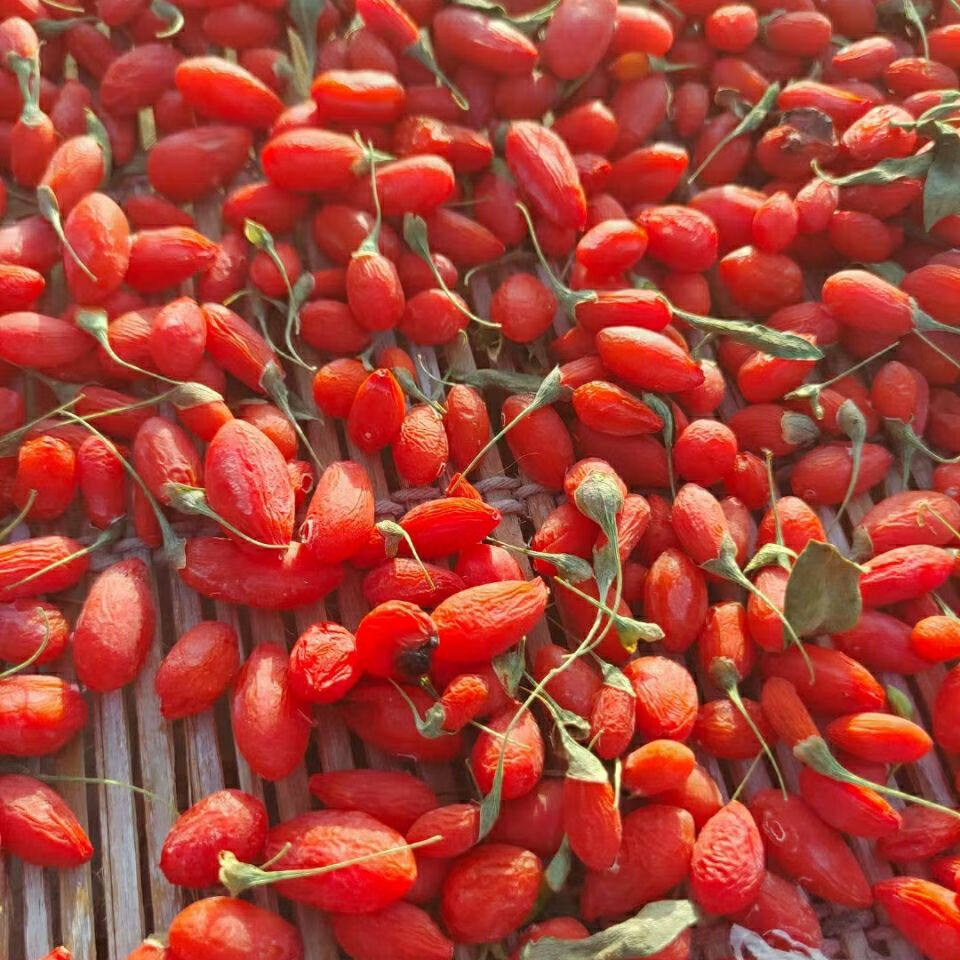 【小眼甄选】新疆精河先进技术锁鲜枸杞 超级品质和味道 168g,传统滋补营养品,枸杞,淘宝优惠券,粉丝福利购,淘宝优惠卷