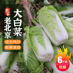 密农人家 北京新三号大白菜 脆嫩微甜 包心菜泡菜农家新鲜蔬菜6斤