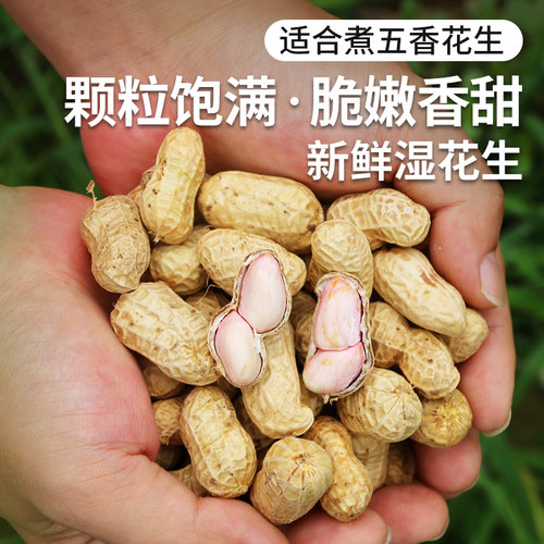 密农人家鲜花生脆嫩鲜香饱满