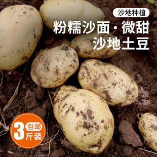 农家洋芋新鲜蔬菜新土豆3斤 马铃薯黄心大土豆 密农人家 新鲜土豆