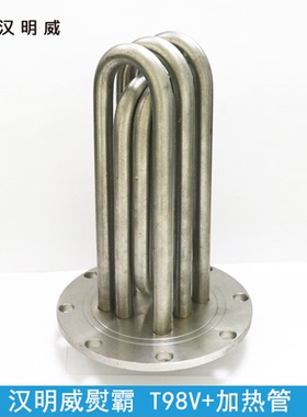 汉明威熨霸原装发热管 T98S 98V+ H98V1 V2蒸汽锅炉发生器加热管