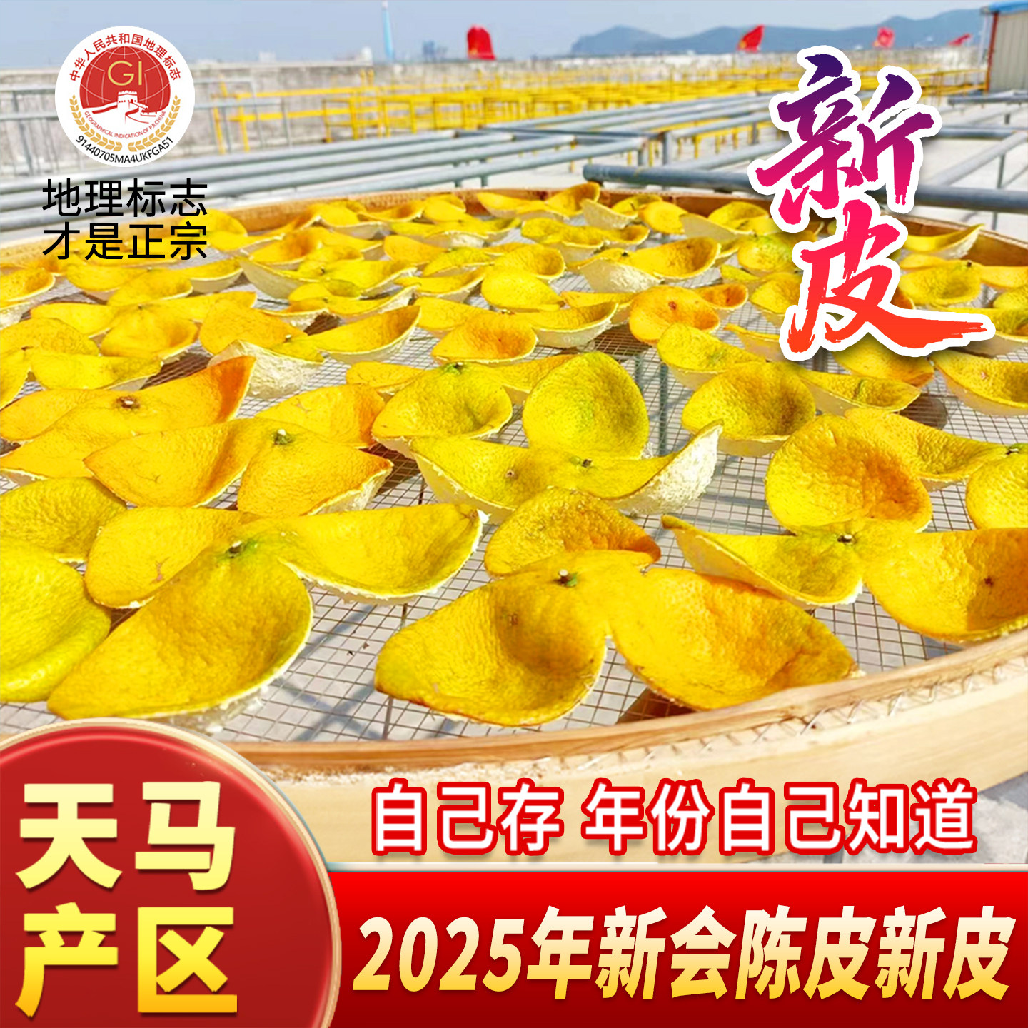 天马新会陈皮大红皮二红皮冬后皮 2024正宗广东茶枝柑 500g吉元圃
