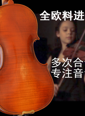 进口欧料成人小提琴纯手工大师专业级violin演奏级中提琴34/4考级