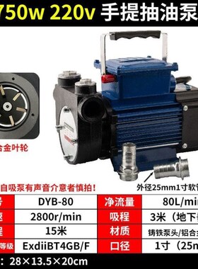 海湾12v24v220vDYB防爆油泵自吸泵抽油泵550w750w1.1kw1.5kw电动