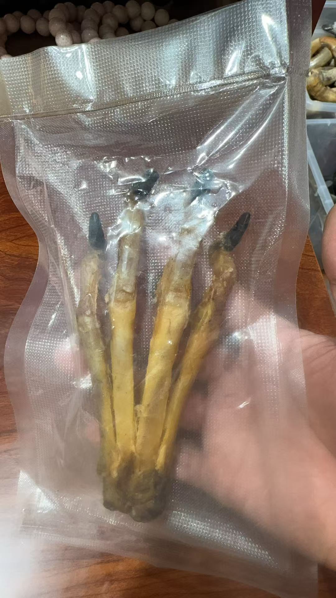 文玩杂项骆驼骨头棒子摆件手把件 真骨头