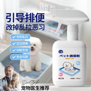 Pet inducer, designated defecation guidance inducer