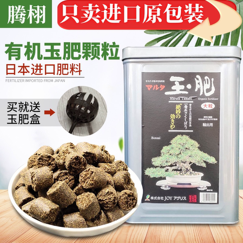 有机日本盆景松柏长效颗粒缓释肥