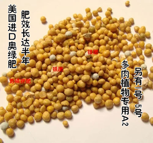 美国进口奥绿肥多肉月季缓释颗粒