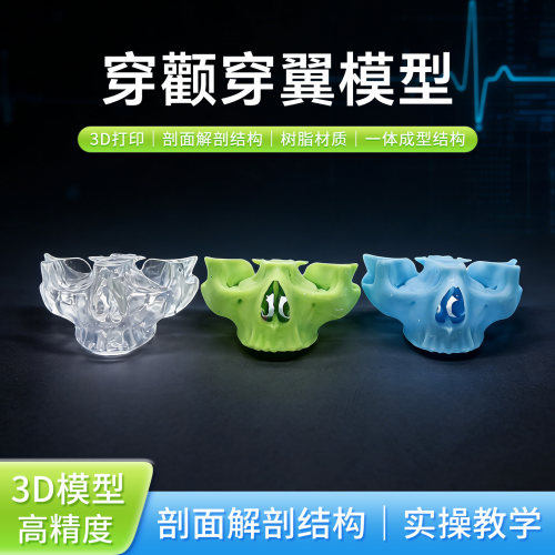 牙科穿颧穿翼练习模型 树脂材质种植练习模型3D打印 接受颜色定制