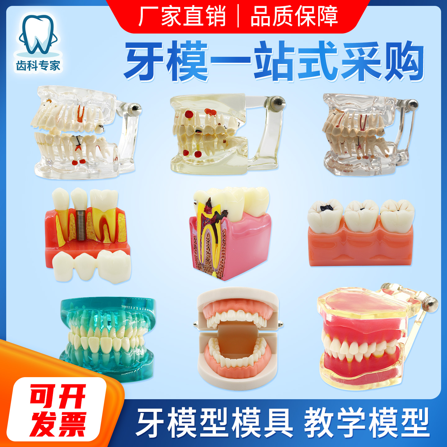 牙模型模具牙科教学医患沟通