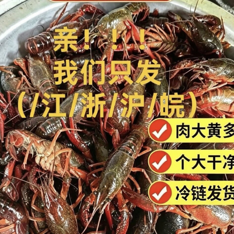 农家自捕新鲜活体龙虾鲜活小龙虾新鲜现捕现发水产河鲜三斤中青虾