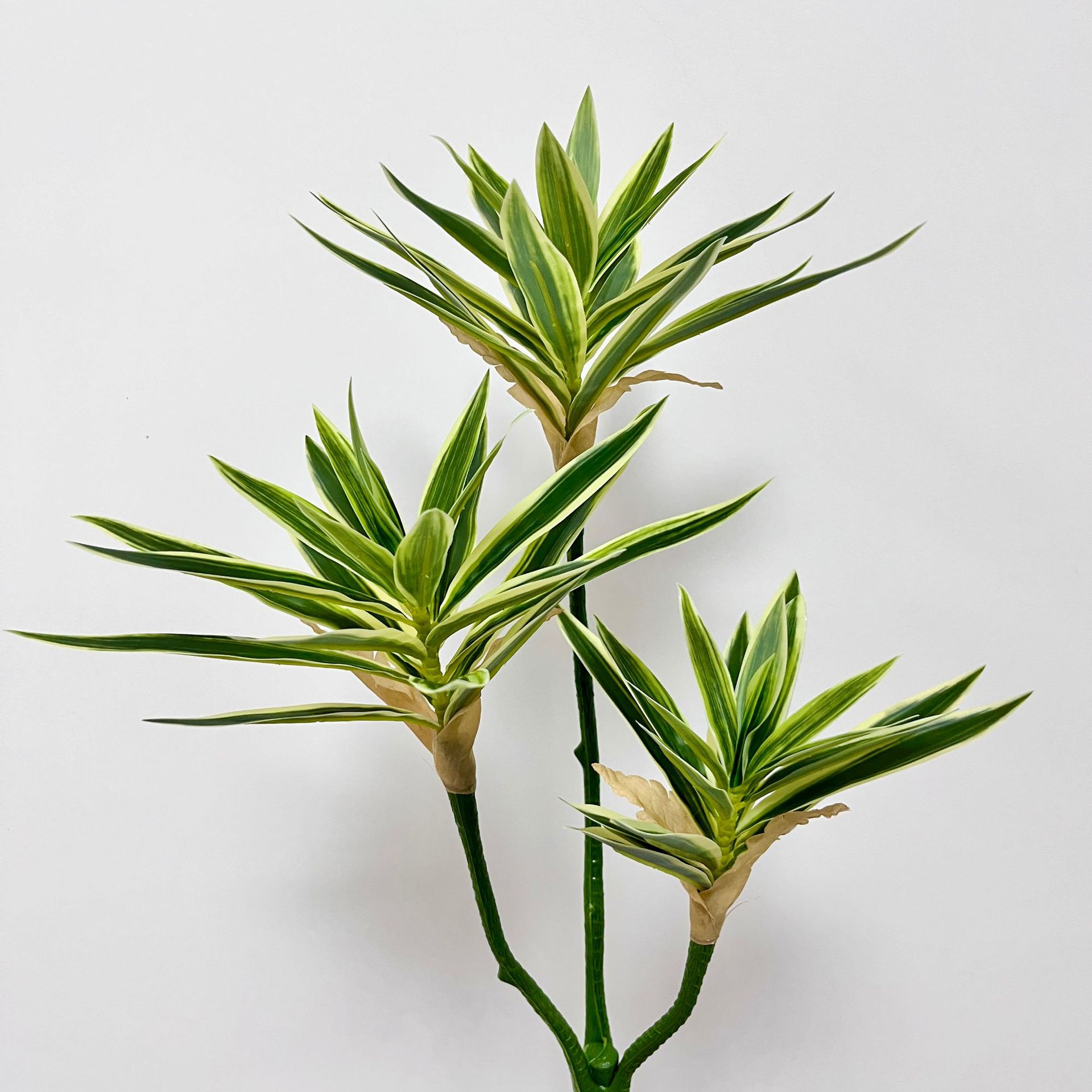 大美工艺仿真百合竹装饰过胶纸竹叶绿植客厅巴西木叶真图片