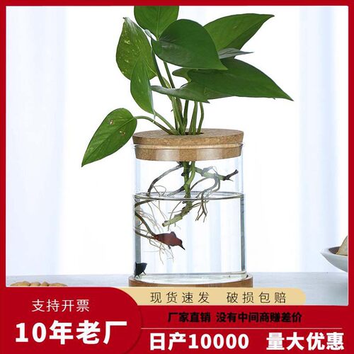 ins网红创意原木花瓶透明玻璃客厅插花摆件水培绿萝桌面生态鱼缸