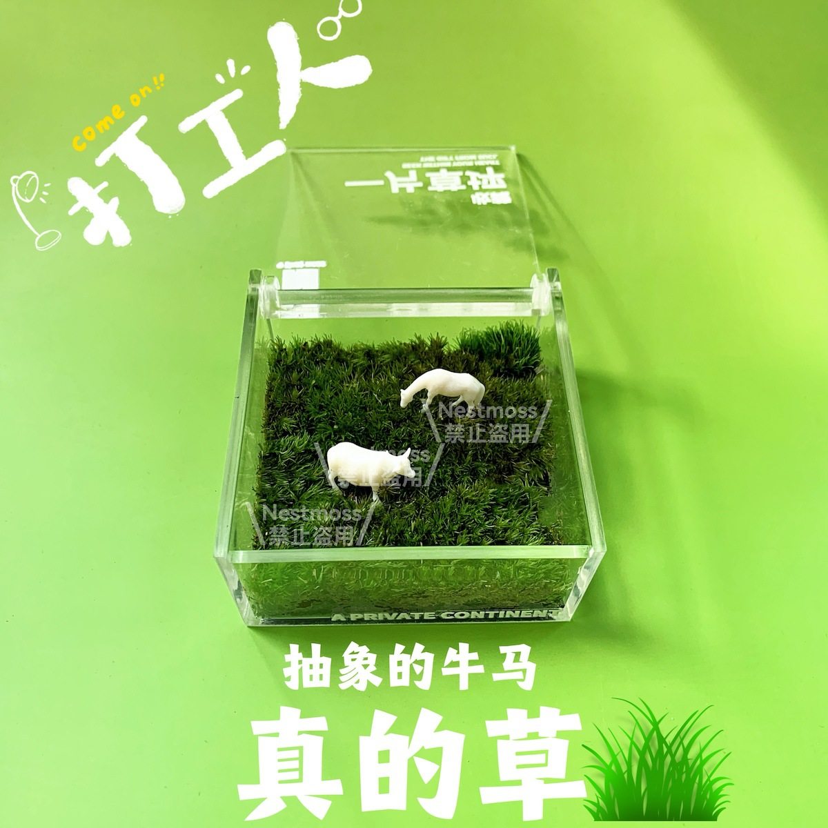 有块地苔藓微景观桌面工位趣味懒人摆件氛围感牛马解压桌宠易养活