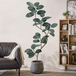 网红大叶子黑金刚假植物摆件室内客厅落地装饰仿真绿植橡皮树盆景