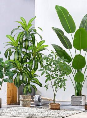 仿真绿植龟背落地植物盆栽室内家居装饰橱窗装饰摆件跨境人造树