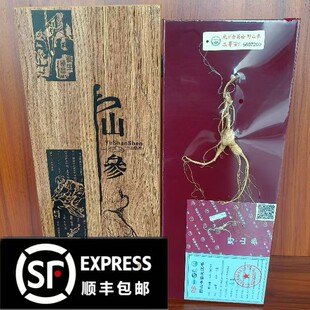 长白山人参林下参籽货杭检二等野山参一九滋补正品干货送礼佳品