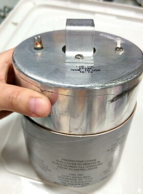 议价-赛默飞配件：辐射检测器，探测仪，lnd52096 电离室，L-可维