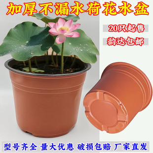 加厚营养钵防老化荷花盆水培碗莲 睡莲盆无孔水盆不漏水 水生植物