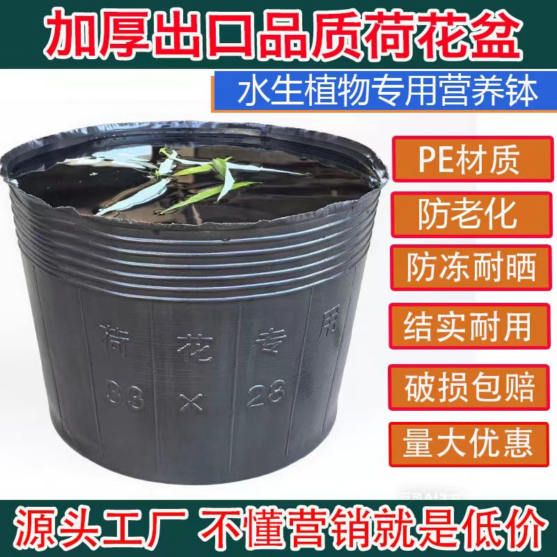荷花盆营养钵无孔加厚耐用图片