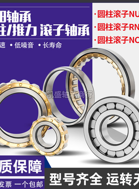 洛阳圆柱滚子轴承RN 211 212 213 214 215 216 217 E M